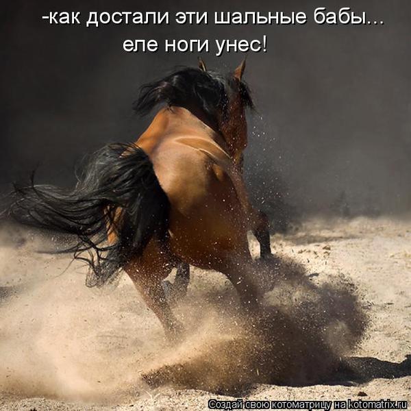 VFL.RU -  