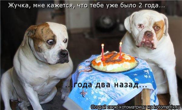 VFL.RU -  