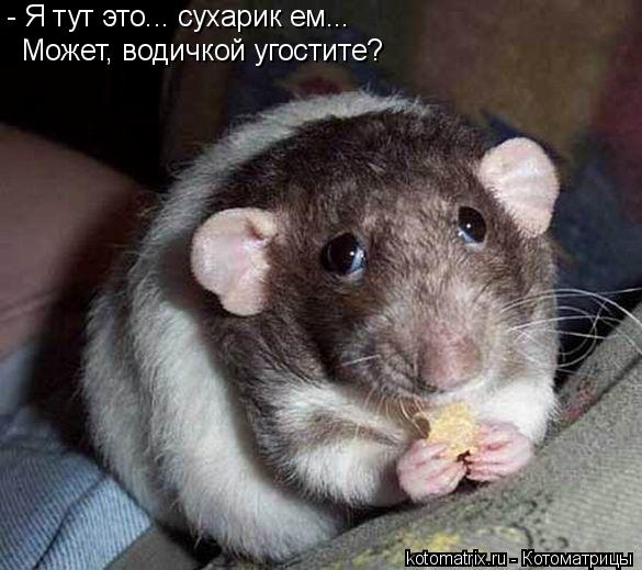 VFL.RU -  