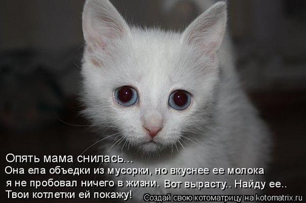 VFL.RU -  