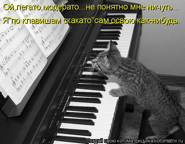 VFL.RU -  