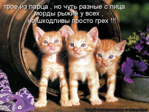 VFL.RU -  