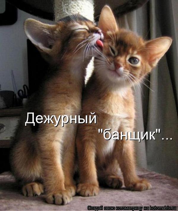 VFL.RU -  