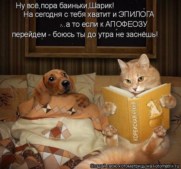 VFL.RU -  