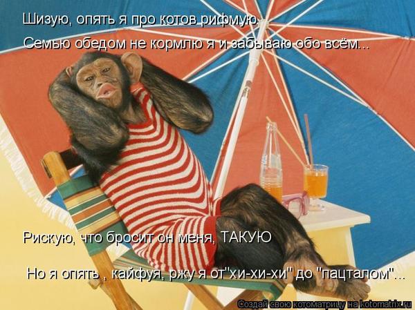 VFL.RU -  