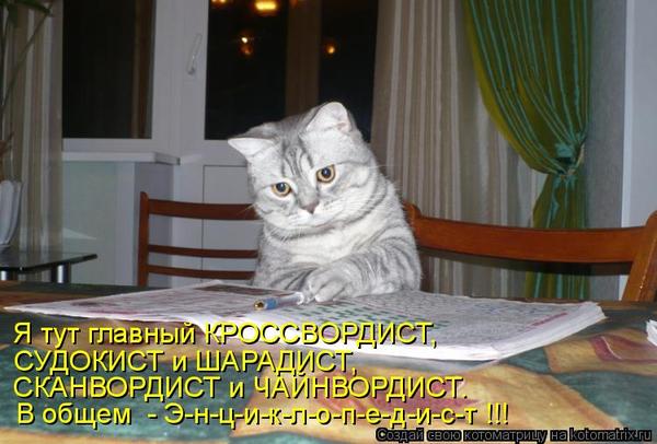 VFL.RU -  