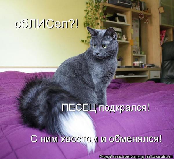 VFL.RU -  