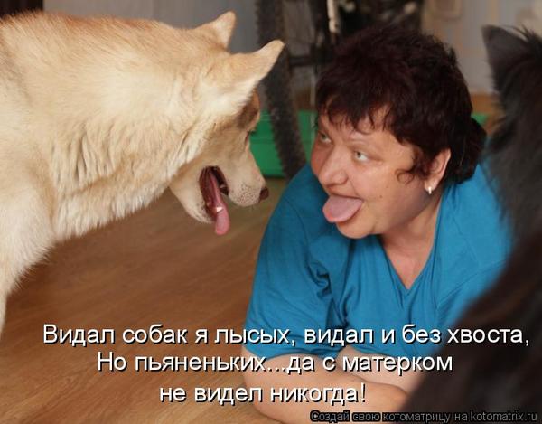 VFL.RU -  