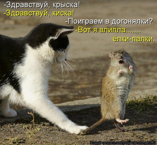 VFL.RU -  