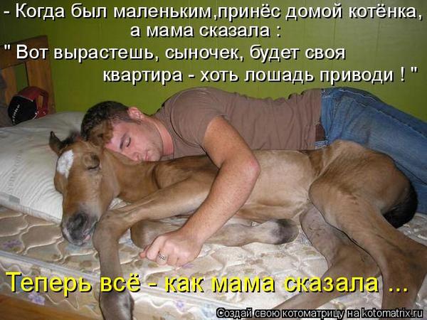 VFL.RU -  