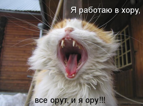 VFL.RU -  
