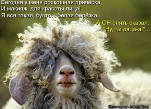 VFL.RU -  