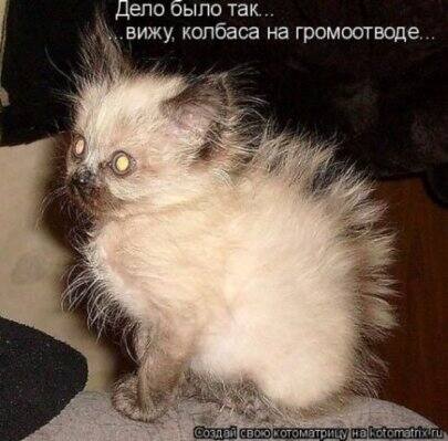 VFL.RU -  