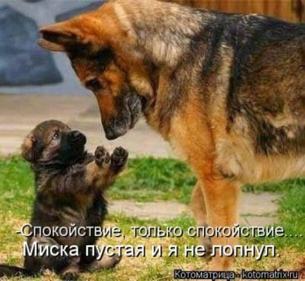 VFL.RU -  