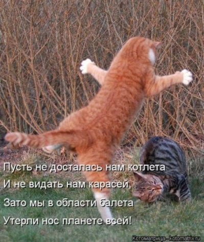 VFL.RU -  