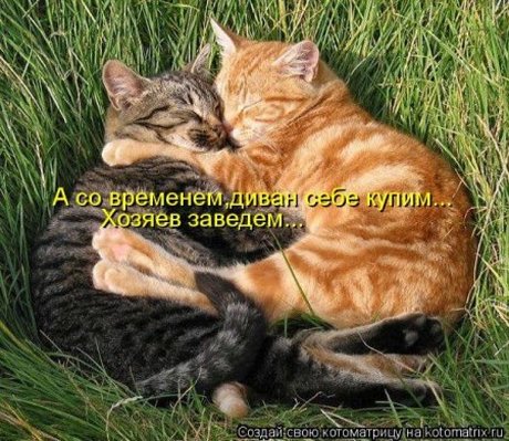 VFL.RU -  