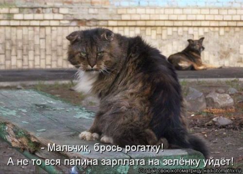 VFL.RU -  