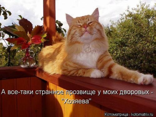 VFL.RU -  