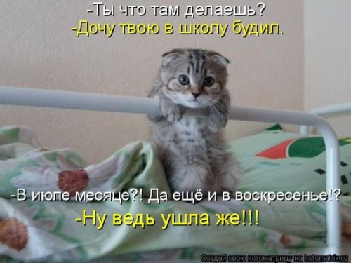 VFL.RU -  