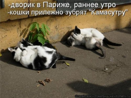 VFL.RU -  