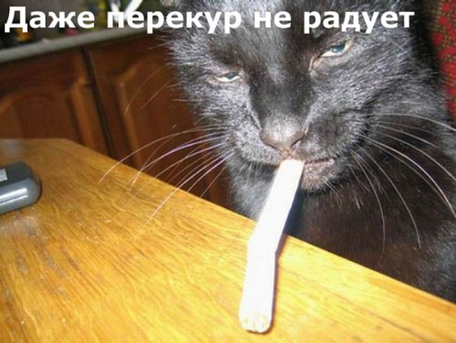 VFL.RU -  