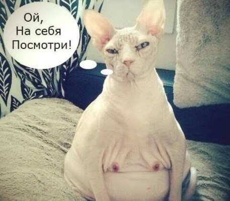 VFL.RU -  