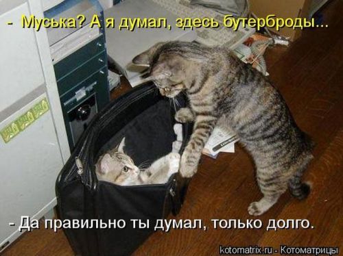 VFL.RU -  