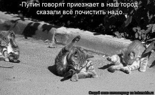 VFL.RU -  