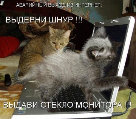 VFL.RU -  
