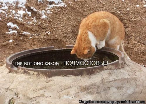 VFL.RU -  