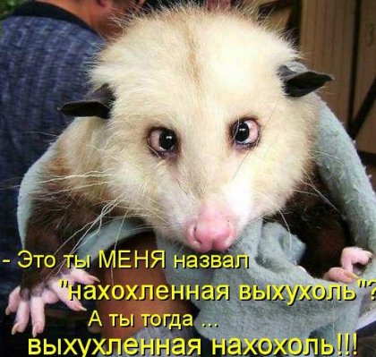 VFL.RU -  