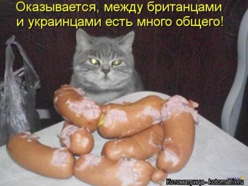 VFL.RU -  