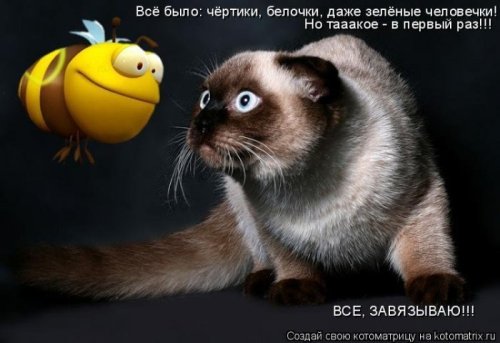 VFL.RU -  