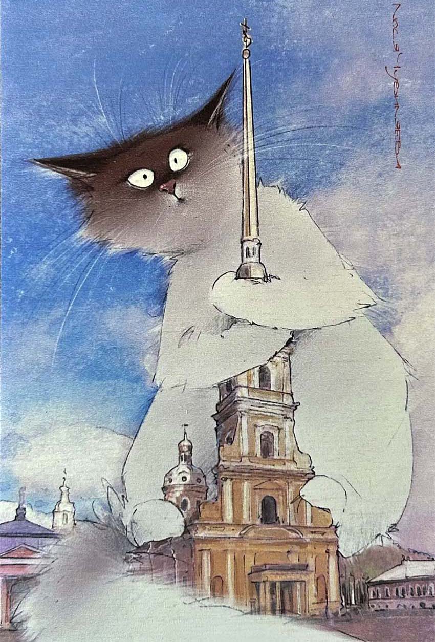 11 (2)