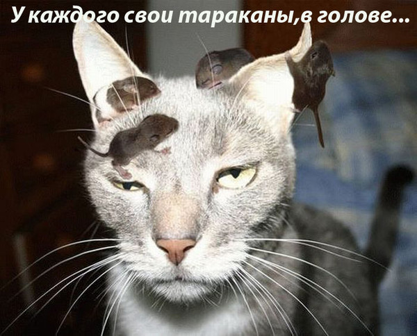 VFL.RU -  