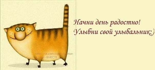 VFL.RU -  