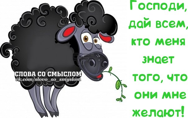 VFL.RU -  