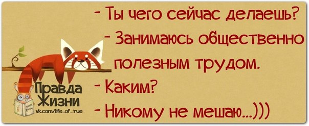 VFL.RU -  