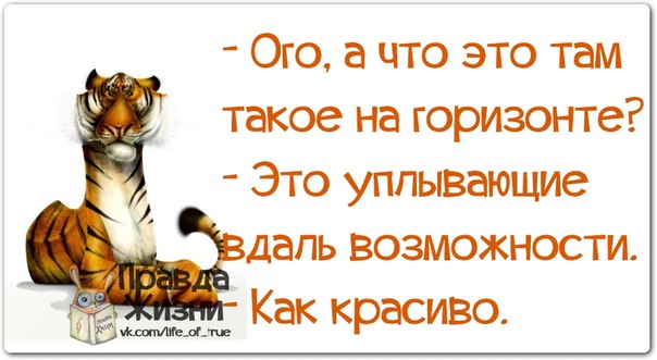 VFL.RU -  