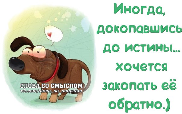 VFL.RU -  