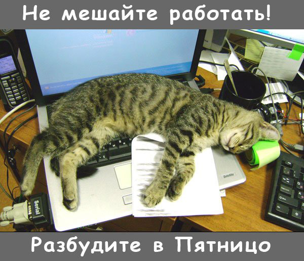 VFL.RU -  