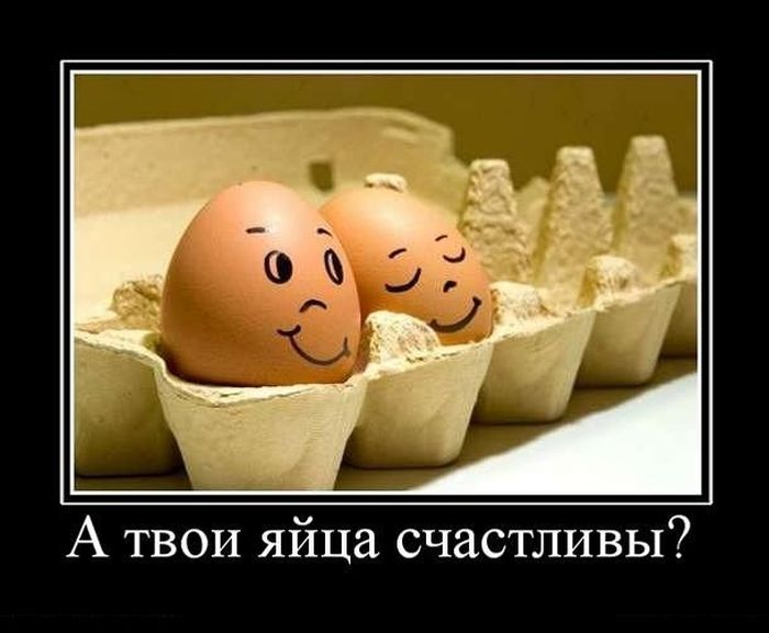 VFL.RU -  