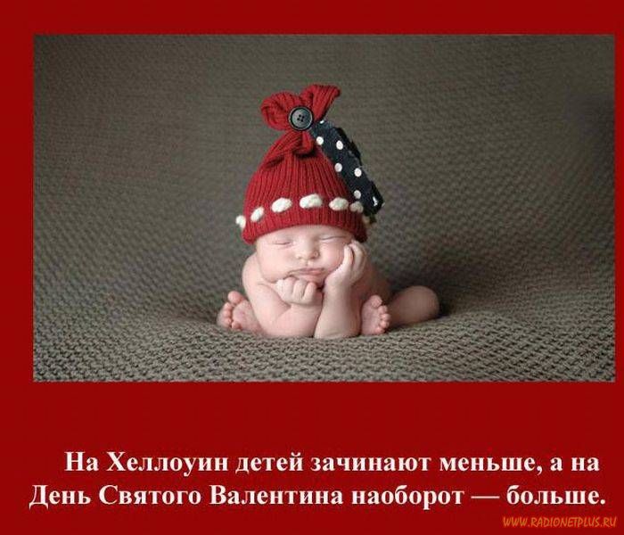 VFL.RU -  