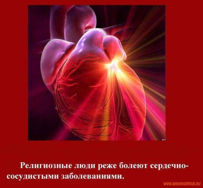 VFL.RU -  