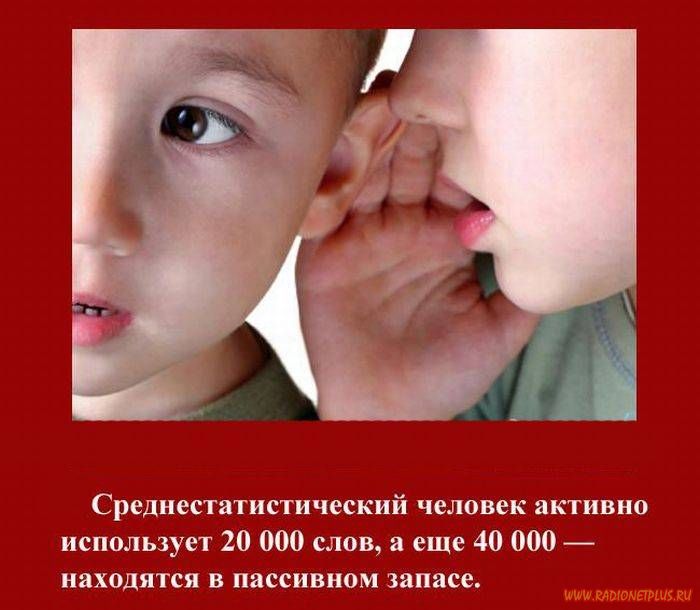 VFL.RU -  