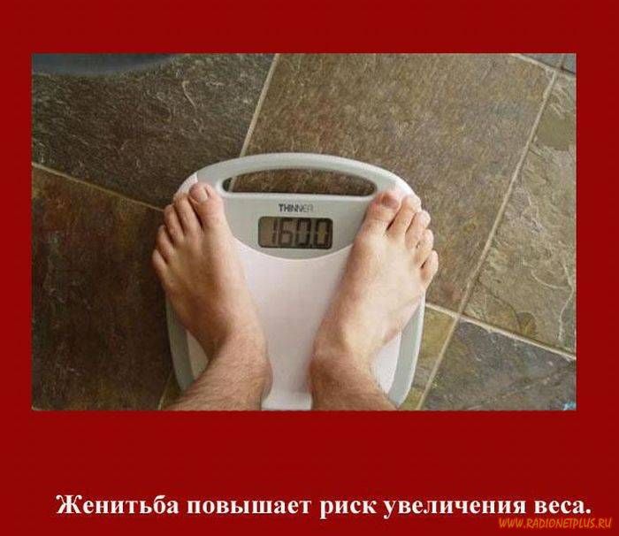 VFL.RU -  