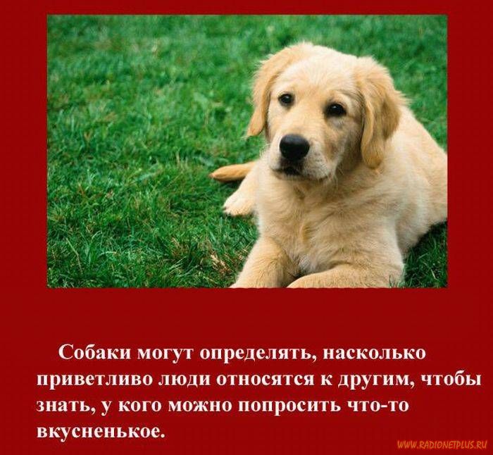 VFL.RU -  