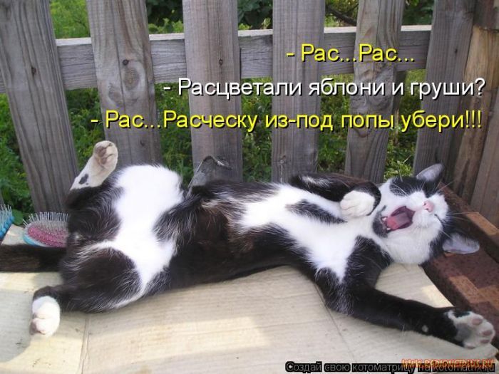 VFL.RU -  