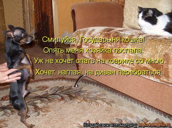VFL.RU -  