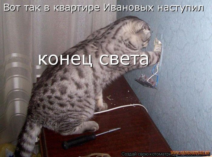 VFL.RU -  